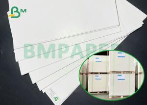 Wholesale 10PT 12PT 16PT GC1 Ivory Paper 700 x 950mm For Pharmaceutical Packing from china suppliers