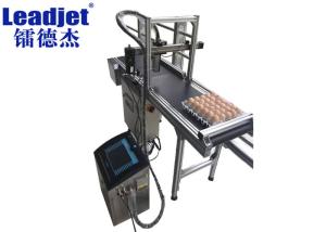 Wholesale Leadjet Belt Conveyor Machine 220V 120W 201 Stainless Steel Material from china suppliers