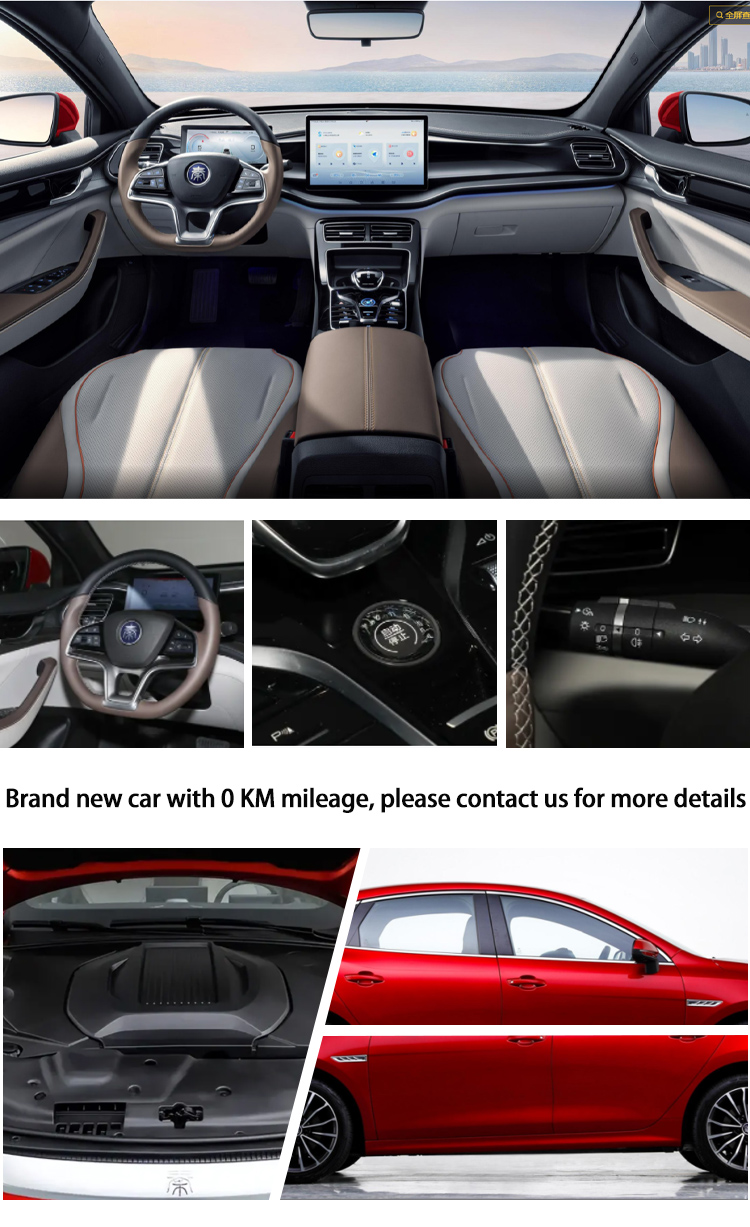 Contemporary Chinese New Energy Electric Vehicles 420KM Pure Byd Qin Plus