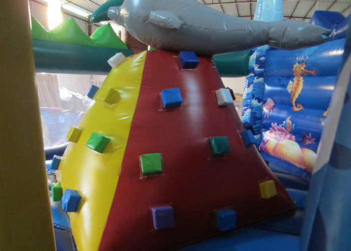Outdoor Games Toddler Bouncy Castle , Small Indoor Bounce House 9.5 X 6 X 5m