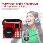 Newgood 20W Bluetooth Outdoor Music Player with Voice recording and Handle