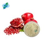 Ellagic Acid Pomegranate Peel Extract Water Soluble CAS 476-66-4 For Cosmetics