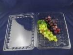 Eco Friendly Disposable Clear Plastic Blister Plastic Packaging Boxes 500g