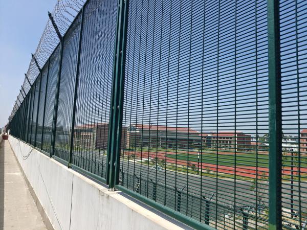 Factory Direct Supply PVC Coated 3d V Bending Curved Garden Farm Welded Wire