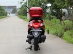 CVT Gear 50cc Adult Motor Scooter Horizontal Type Single Cylinder Air - Cooled