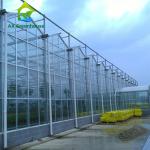 Triangle Roof Agricultural Glass Greenhouse 9.6m Width Winter Lettuce Greenhouse