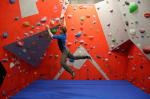 Adult Age Indoor Climbing Wall Panel Composite Wood for Climbing Gym Performance
