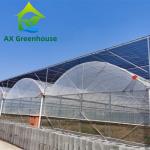 Hot Galvanized Steel PE Film Greenhouse 44m-52m Length Plastic Tomato Greenhouse