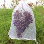 Popular Agriculture Yellow Hdpe Tubular Mesh Bags for Grapes Fruit Cover