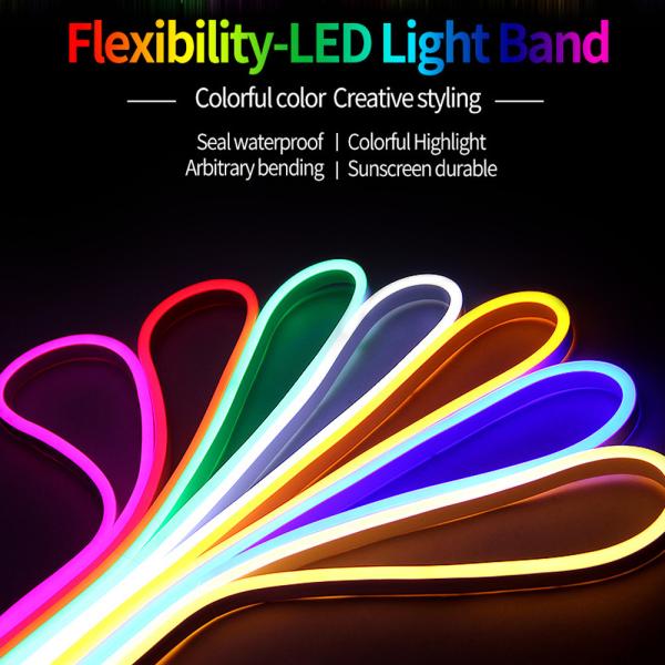 Dc 12v 600leds 6*12mm PVC Neon LED Strip Light Waterproof Flexible LED Light