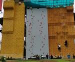 Outdoor PU Material Rock Climbing Holds For Public Playground