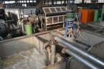Rotary Egg Tray Machine Waste Paper Recycling Machine Pulp Paper Egg Tray Making