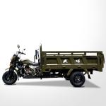 Affordable 250cc Motor Tricycle for Family in Egypt Agriculture Market Open Body