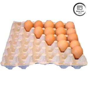 Wholesale Biodegradable Molded Paper Egg Tray Cartons Recyclable Quality Packaging With 30 Holes from china suppliers