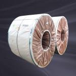 ASME Cold Rolled Stainless Steel Coil 304 0.3mm Ink Drawing Corrosion Resistant