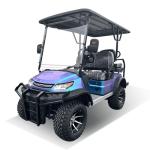 New 4 Seats Electric Golf Cart Aluminum Wheels Advanced Club Cheap Price