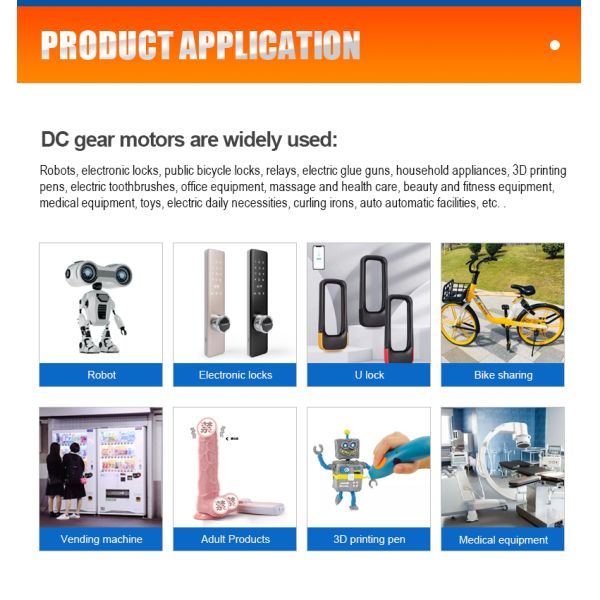 FT-31ZY Carbon Brushed Micro Motor 6V 12V 24V DC Micro Motor For Smart Homes