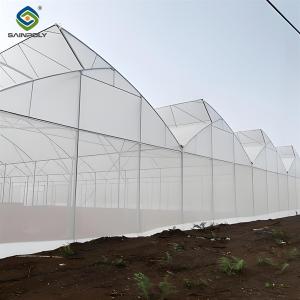 Wholesale Indoor Multi Span Plastic Film Gothic Arch Greenhouse With PC Sheet from china suppliers