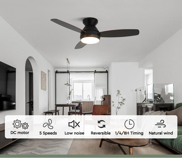 ceiling fan