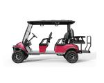Street Legal Golf Cart NL-JA4 2.G Electric Buggy for Sightseeing Club 10%