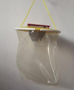 Wholesale Newest outdoor fly trap disposable fly trap for farm gardon from china suppliers