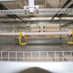 Wholesale Automatic Broiler Battery Cage System For Animal Poultry Husbandry Livestock from china suppliers