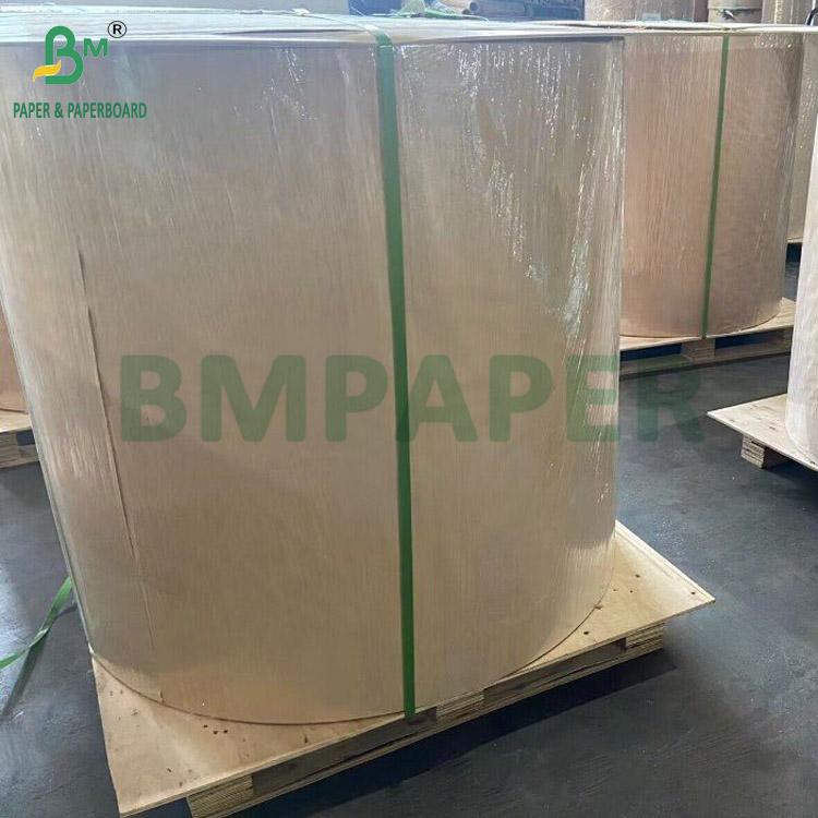 Double-Sided Matte Inkjet Paper Rolls - Premium Coated Media 108g - 220g