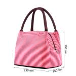 Reusable Aluminum Lining Insulated Cooler Bags