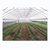 Buy cheap Cucumber Farming Small Agricultural Tunnel Greenhouse with Galvanized Steel from wholesalers