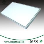 LED Panel Light, 36W 42W 48W,1200X60mm