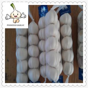 Wholesale High quality Wholesale price fresh natural garlic Natural White Garlic 4.5cm from china suppliers