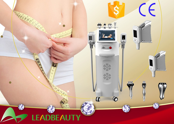 2016 fat freezing body machine LB-C5 / cryolipolysis slimming machine on sale