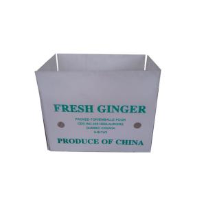 Wholesale Custom Coroplast Boxes 3mm 5mm Eco Friendly Corrugated Plastic Mail Tote from china suppliers