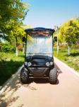 6 Seater Electric Golf Cart Fashion Design Powered Electric Lead Acid Batteries