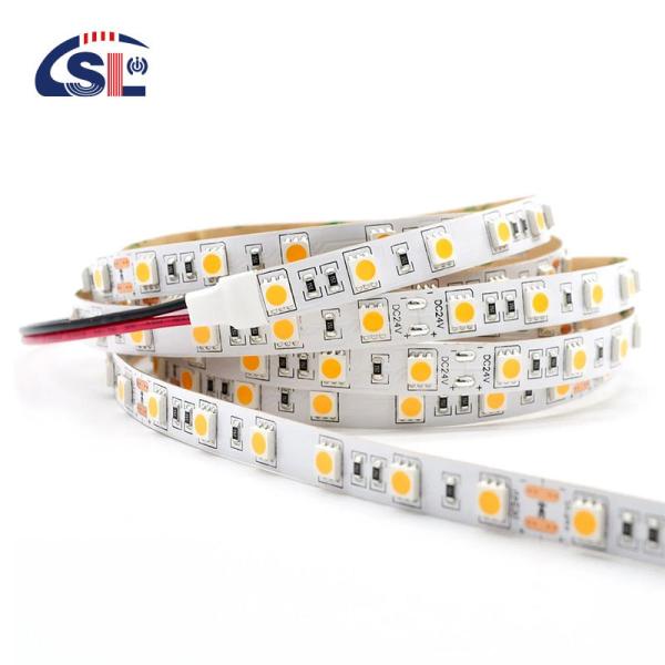 Touch Control Flexible Neon Silicone Cover 10M Led Strip Light 12V 24V Smd2835