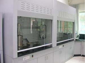 Wholesale Alkali Resistant Fume Hood Cupboard , Floor Mounted Fume Chamber Laboratory from china suppliers