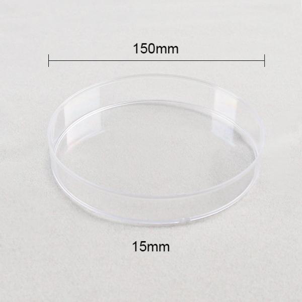 Laboratory Services 150x15mm Large Petri Dishes Culturing Cells Disposability