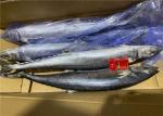 700g Fresh Frozen Mackerel
