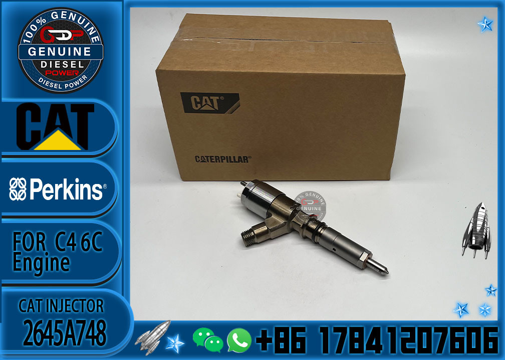 2645A748 Factory outlet Diesel fuel injector 2645A748 320-0688 10R-7939 for C4.2 C6.4 Excavator C4.2 C6.4 320D