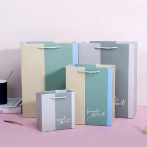Wholesale Custom Boutique Bags For Business With Logo Color Bag Large Paper Shopping Bags from china suppliers