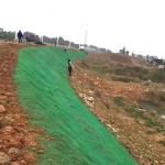 Reinforced Green 3D Geomat for Slope Protection Onsite Training Offered