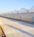 4.0-8.0M Height Agricultural Multi Span Film Greenhouse with Super Strong