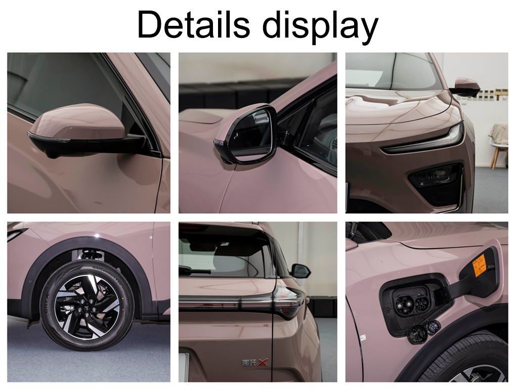 2023 NETA X Fashion Electric Car Ev Fast Charging Time of 0.5H with Lithium Iron Phosphate Battery