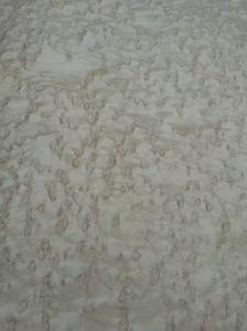 Wholesale Natural Birds Eye Maple Wood Veneer Sheet For Interior Decoration from china suppliers