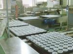 Industrial Cupcake Production Line 2000 - 20000 Kg/Hr With Diverse Cake