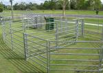 Livestock Portable Round Yard Panels , Anti Corrosion Round Pen Corral Panels