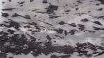 Outdoor 100% Nylon Jacket Fabric Printed 130Gsm Windproof 150Cm