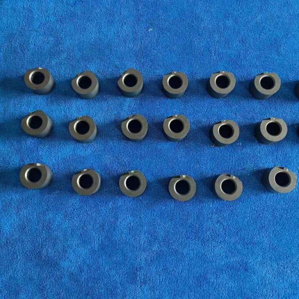 Custom Silicon Carbide Gear Pump Bearing