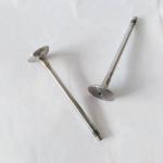 Engine Intake Exhaust Valve 4D0 Race Forged Engine Valves 30604-00100 30604