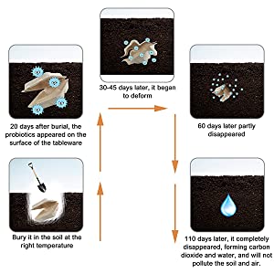 Decomposition process